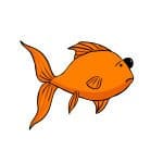 Goldfish pop eye