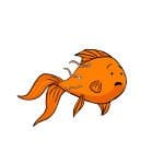 Goldfish flukes