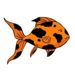 goldfish black smudge