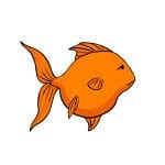 Goldfish constipation
