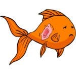 Goldfish ulcers