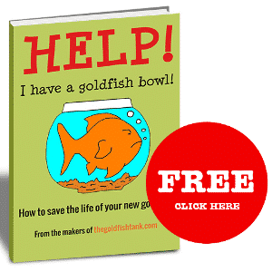 Help I have a goldfish bowl cover
