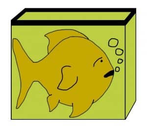 Cartoon of a goldfish in green polluted tank water