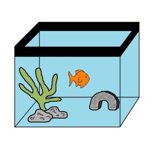 goldfish tank decorations