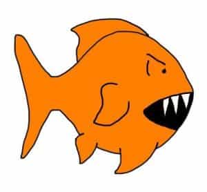 Do goldfish have teeth?