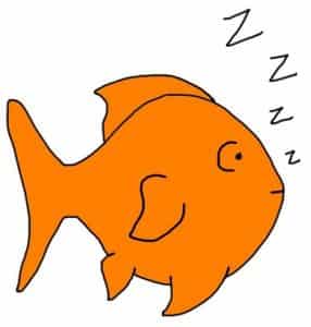 Cartoon of a goldfish sleeping with its eyes open