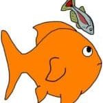 Cartoon of a goldfish looking at a small fish