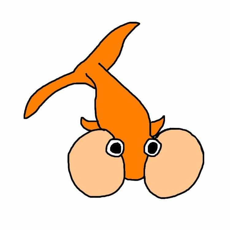 bubble eye goldfish drawing