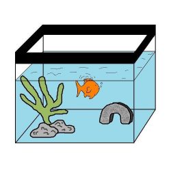 Changing Goldfish Water How To Do A Goldfish Water Change Photo Inspiration