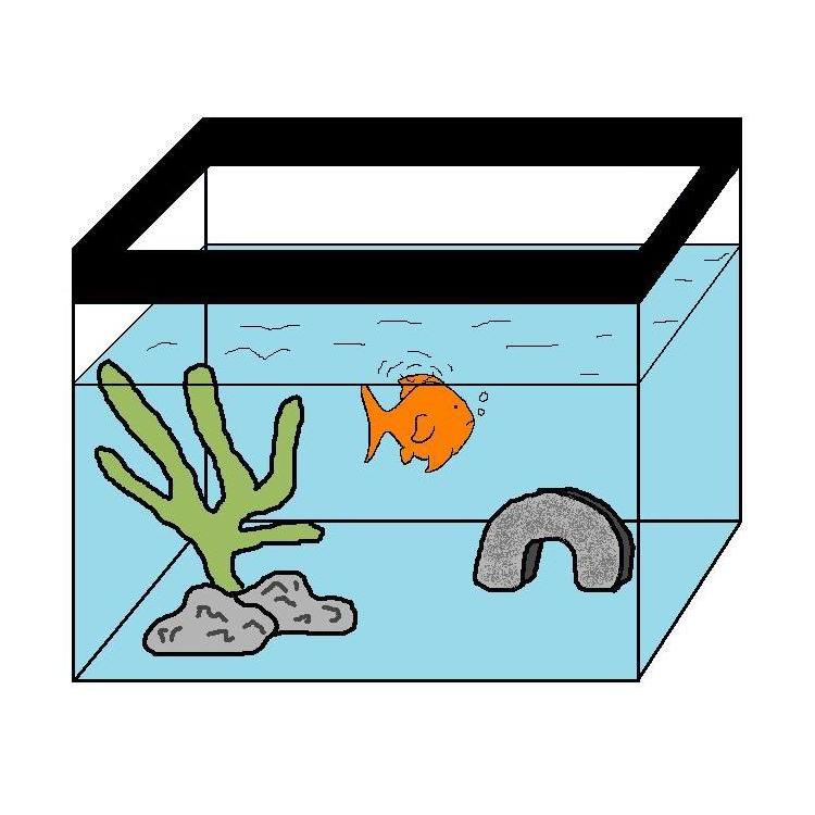 Goldfish tank outlet setup