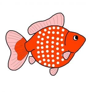 Types of goldfish: Pearlscale goldfish