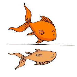 Cartoon of a goldfish looking at its reflection in a bare bottom tank