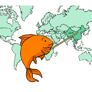 Cartoon of a goldfish looking at a world map