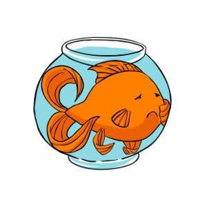 Cartoon large goldfish squashed in a small bowl