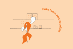 cartoon fish reaching for food
