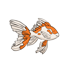 Orange and white veiltail goldfish cartoon