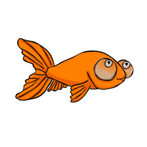 Cartoon of a celestial eye goldfish with big bubble eyes