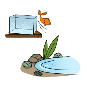 Cartoon of a goldfish jumping out of a tank and into a pond