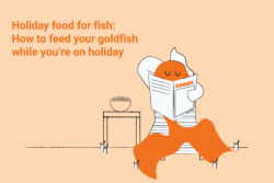 fish cartoon about feeding goldfish whilst you are on holiday