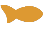 One slim-bodied goldfish