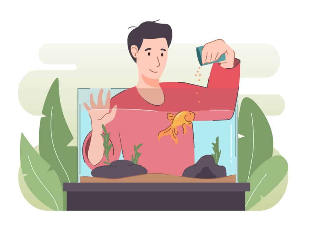 Goldfish Food: A man feeding his goldfish