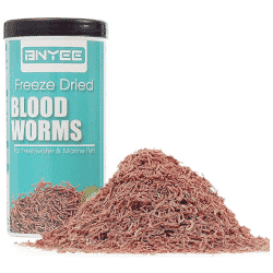 A tub of Freeze-dried bloodworms