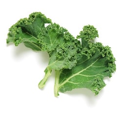 A piece of kale