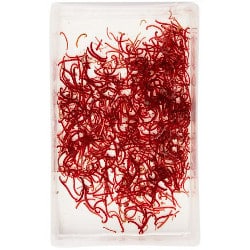 Bloodworm 2025 for goldfish