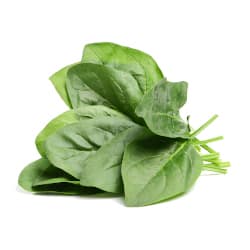 Spinach leaves on a white background