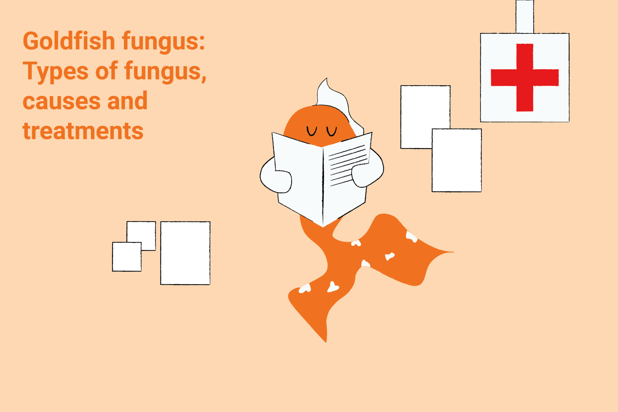 Picture of Goldfish Fungus: Causes, Types, and How to Treat It Fast