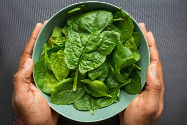 Bowl full of green leafs