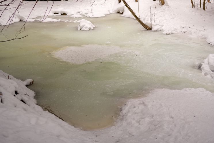 Frozen over pond surrounded by snow