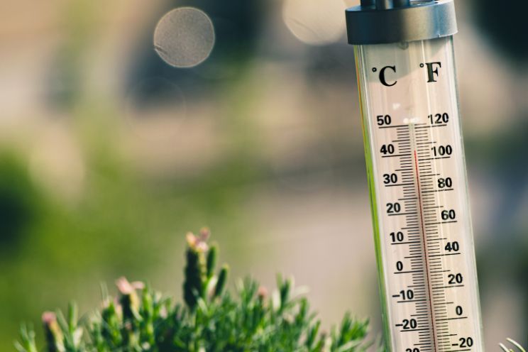 Thermometer stuck in ground