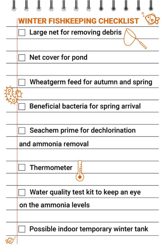 Large net for removing debris. Net cover for pond. Wheatgerm feed for autumn and spring. Beneficial bacteria for spring arrival. Seachem prime for dechlorination and ammonia removal. Thermometer. Water quality test kit to keep an eye on the ammonia levels. Possible indoor temporary winter tank.