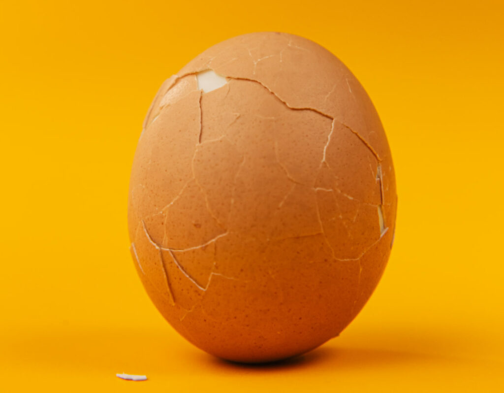 Can Goldfish Eat Boiled Eggs The Goldfish Tank