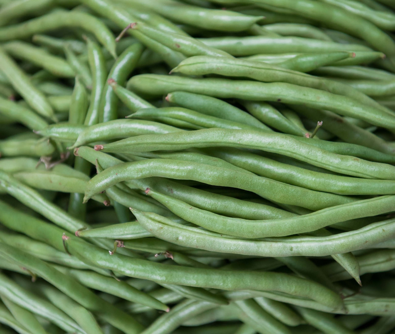 Can Goldfish Eat Green Beans The Goldfish Tank