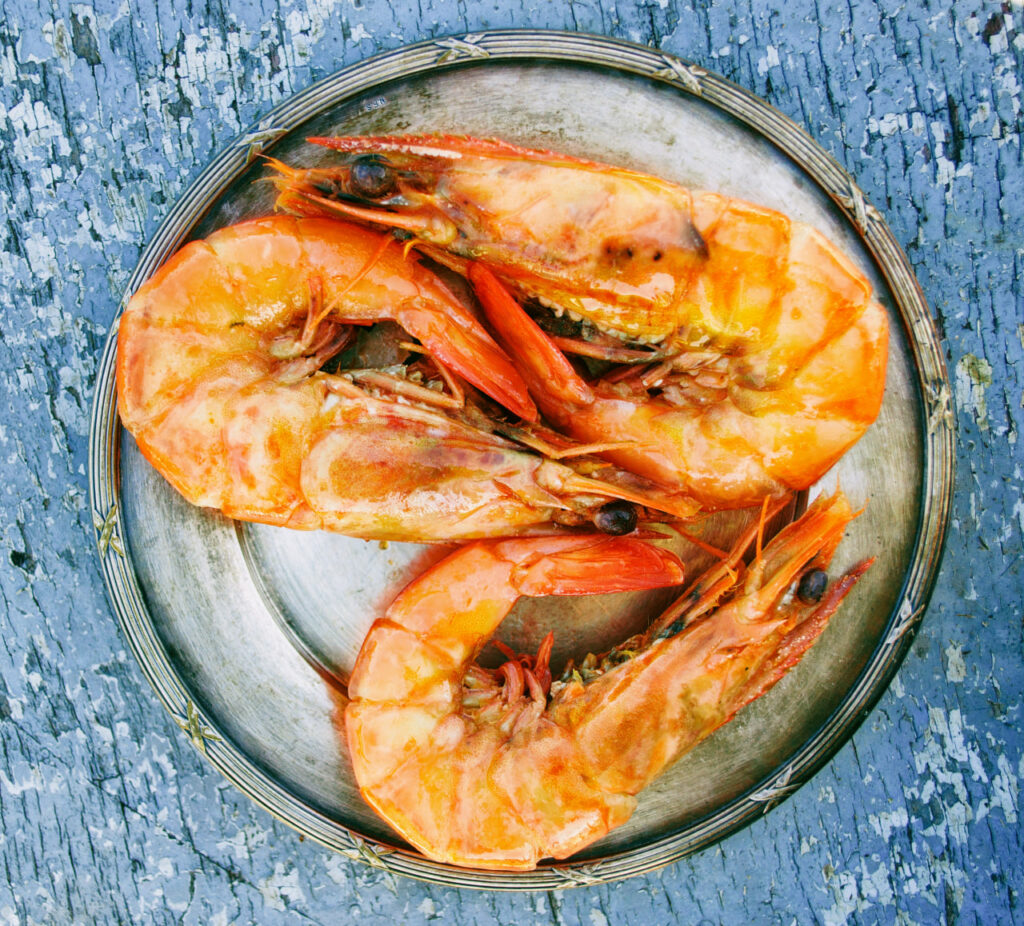 Can Goldfish Eat Shrimp The Goldfish Tank