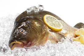 The history of carp as food