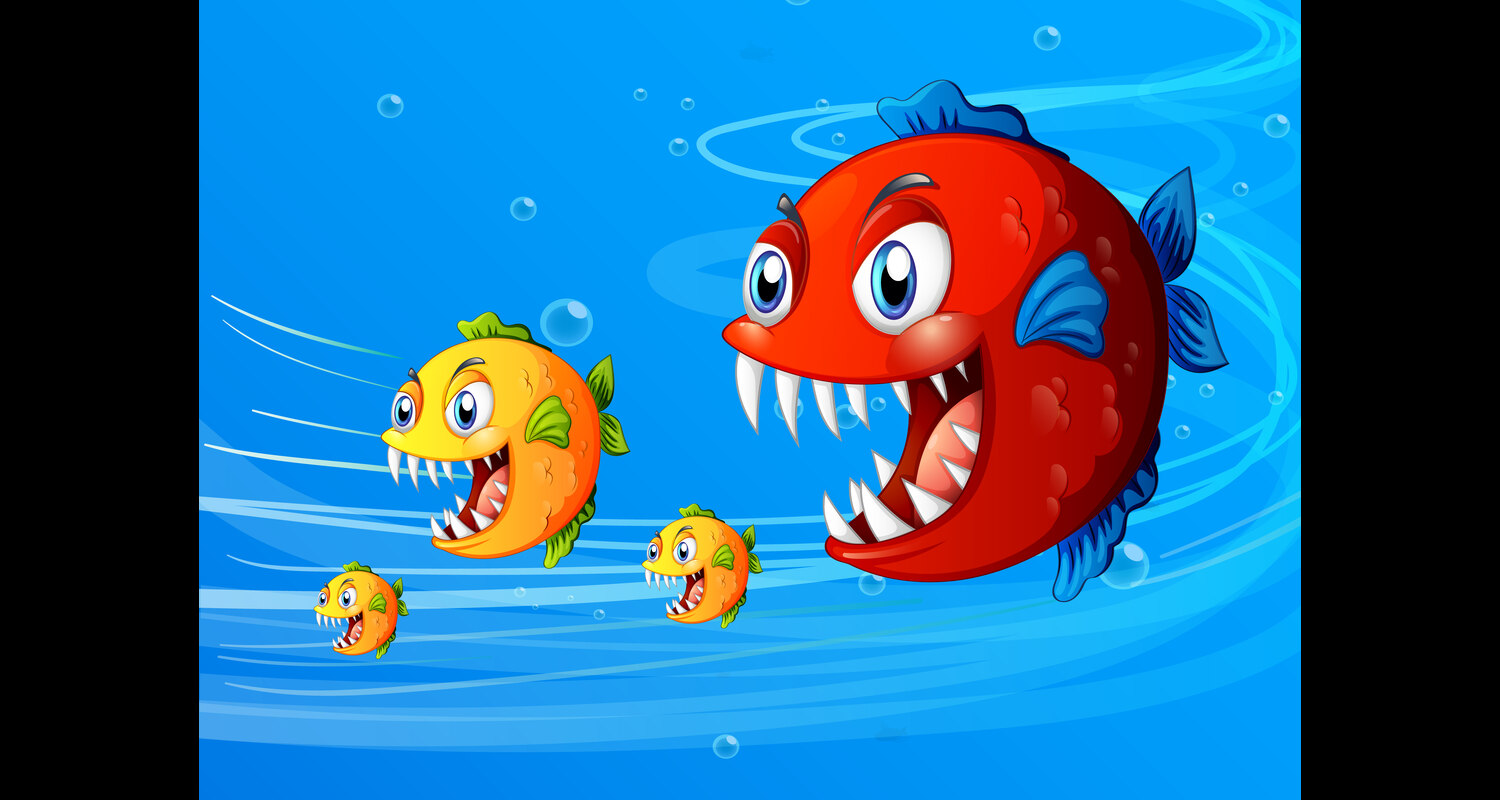 What Fish Eats Goldfish