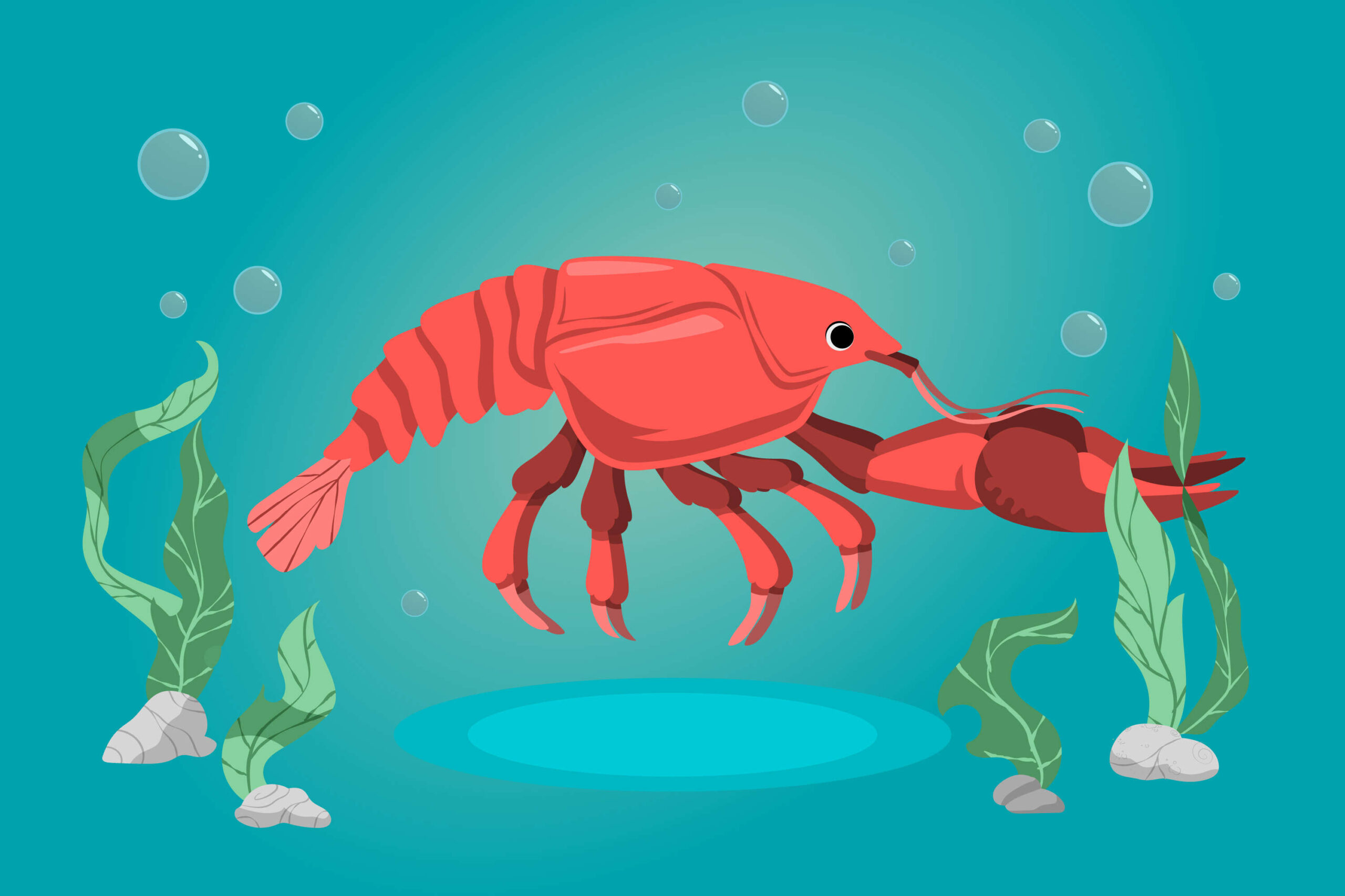 Crayfish And Goldfish