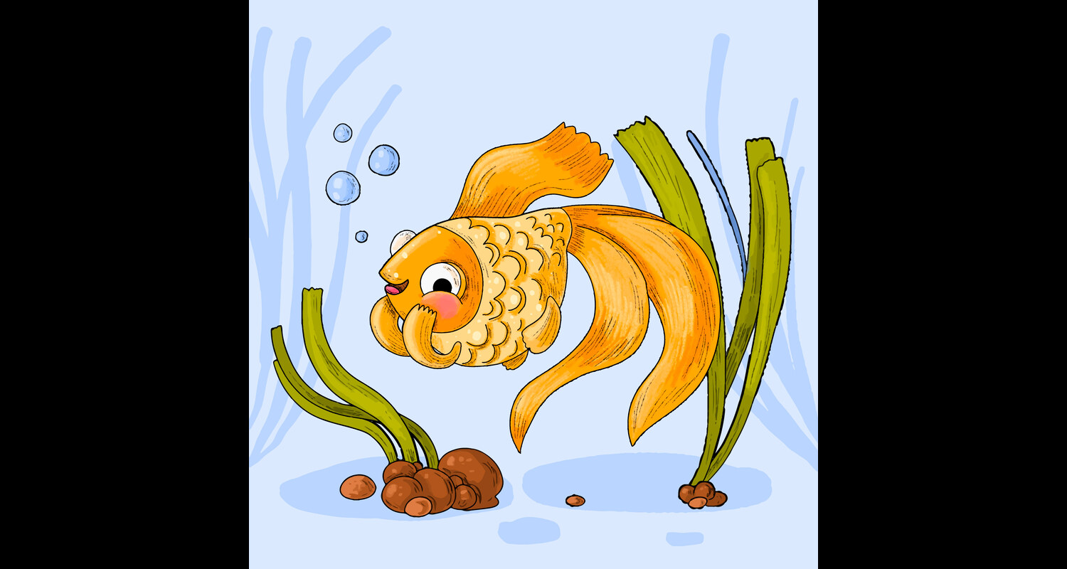 Swallow Goldfish