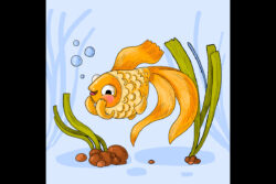 Why Do Goldfish Huddle Together