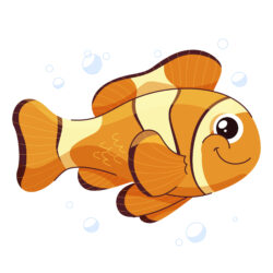 Bubble Eye Goldfish for Sale