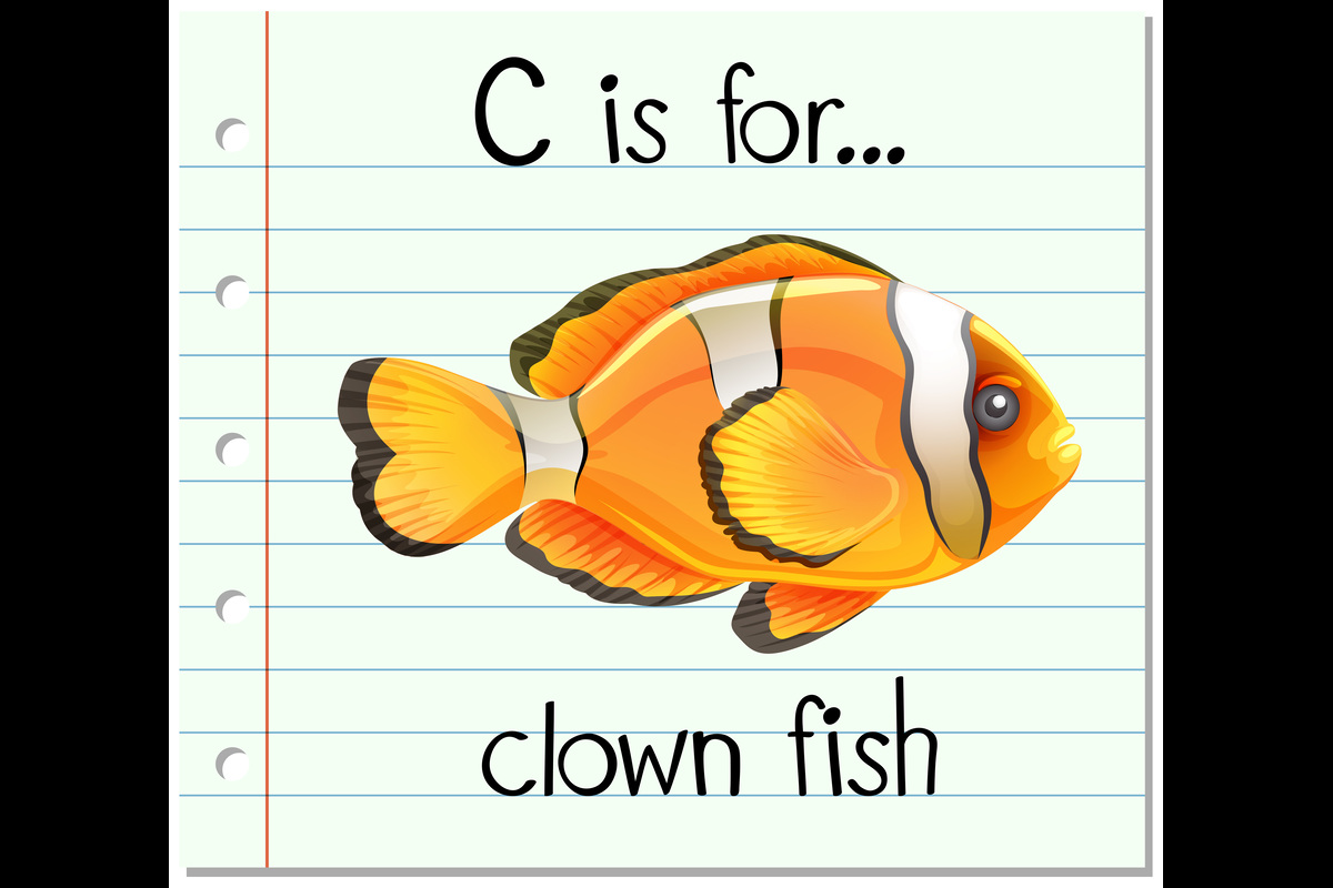 Goldfish Names for Pairs
