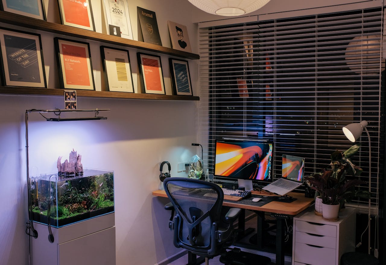 Fancy Goldfish Aquarium